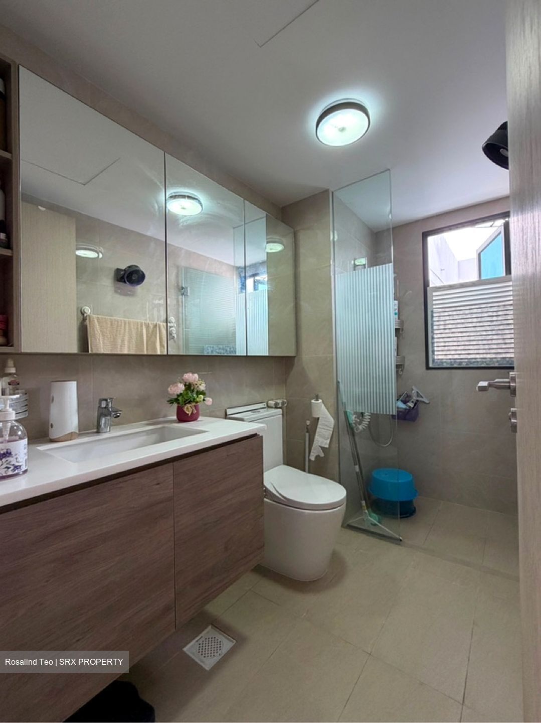 Treasure at Tampines (D18), Condominium #607671761